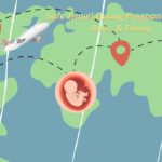 Safe Travel During Pregnancy macaw world news